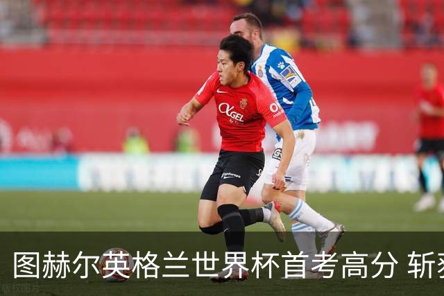 图赫尔英格兰世界杯首考高分 斩获7次绝佳机会22射11正