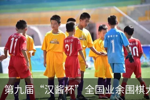 第九届“汉酱杯”全国业余围棋大赛西部赛区闭幕